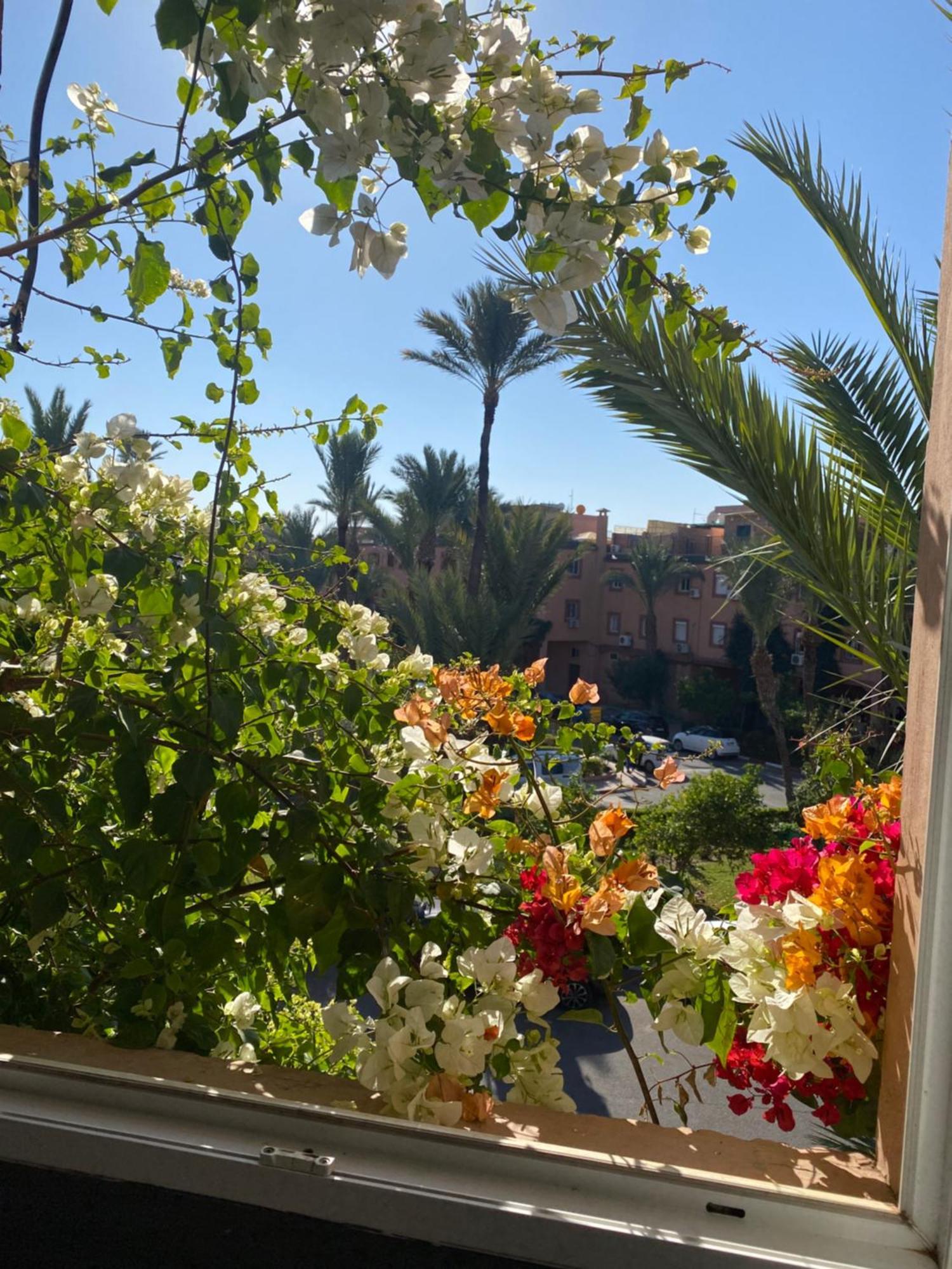 Riad Palmier Fleuri มาร์ราเกช ภายนอก รูปภาพ