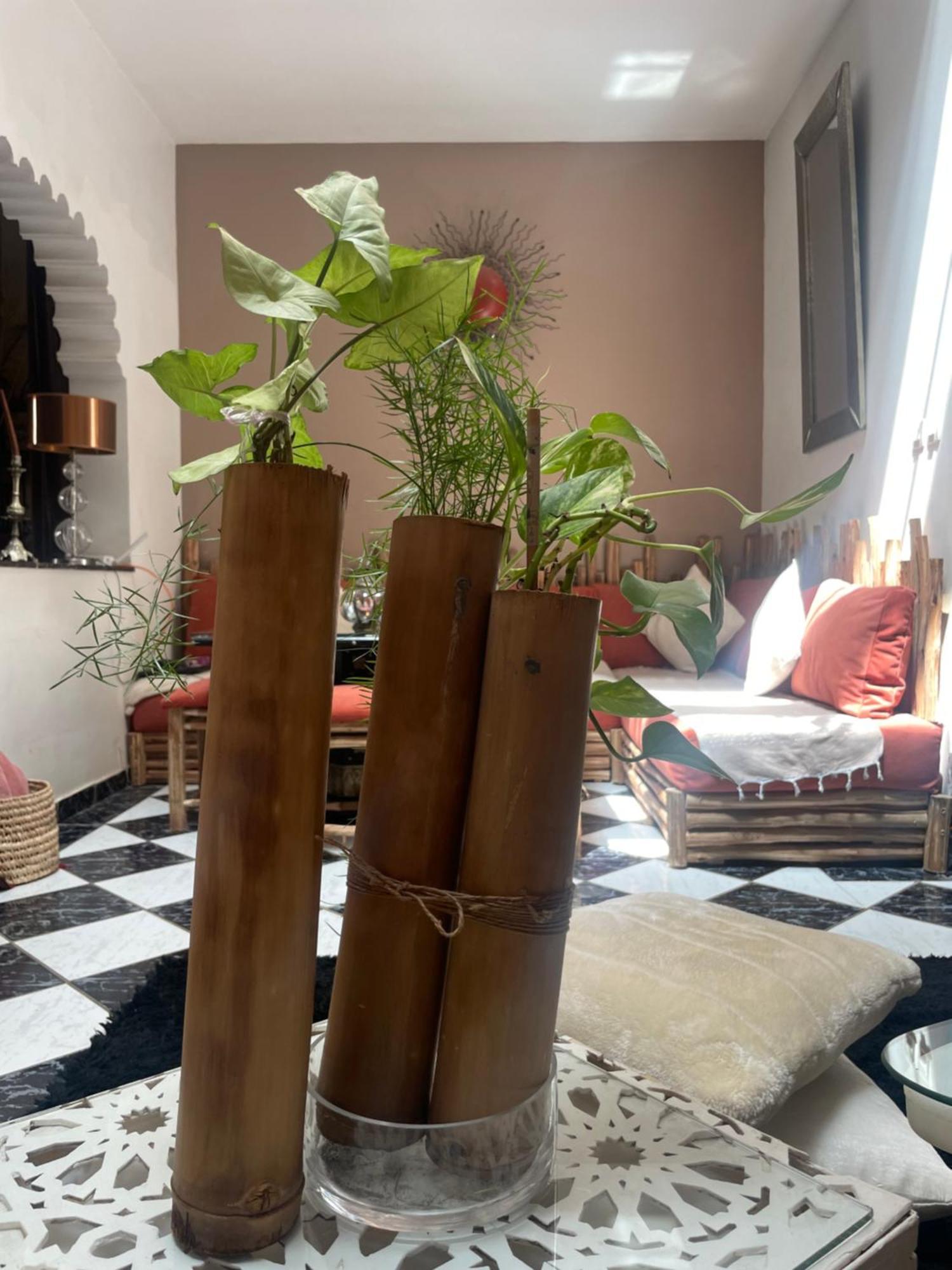 Riad Palmier Fleuri มาร์ราเกช ภายนอก รูปภาพ